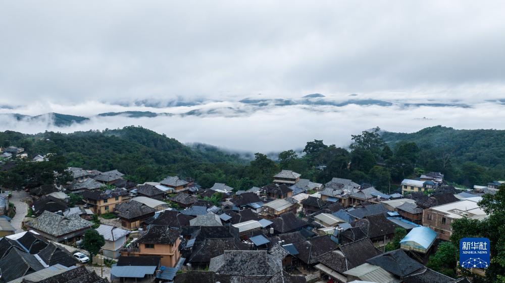 彩票彩经网